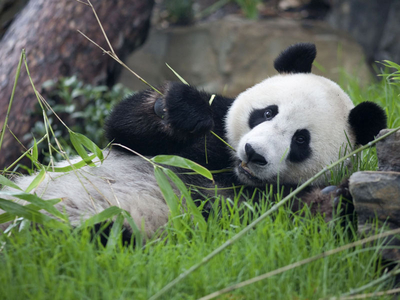 疯狂动物园_动物园增加经济收入(2)