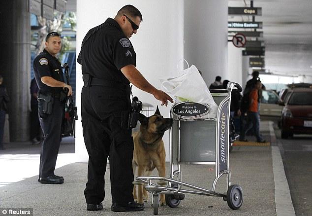 洛杉矶警犬被爆种族歧视专咬黑人和拉丁裔(